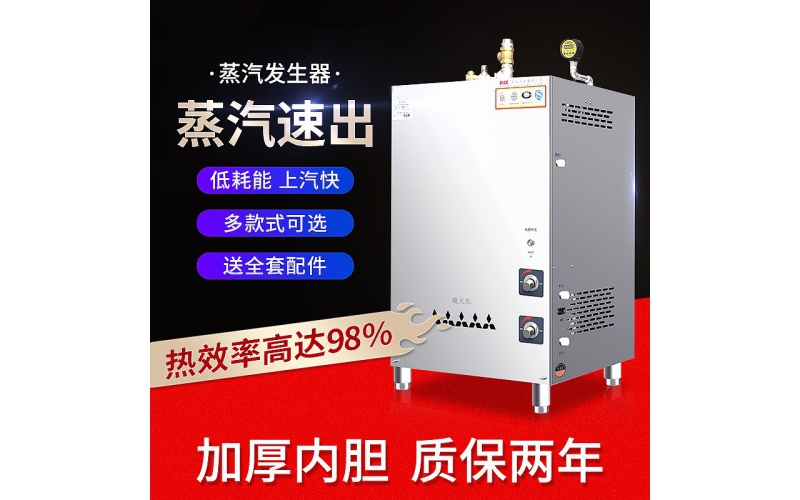 燃氣蒸汽發生器商用液化天然氣煮豆腐煮漿釀酒蒸饅頭蒸汽機